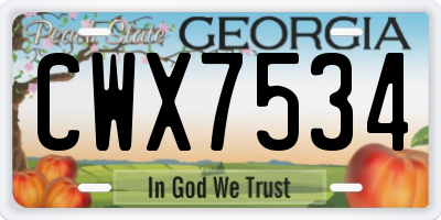 GA license plate CWX7534