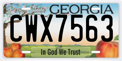 GA license plate CWX7563