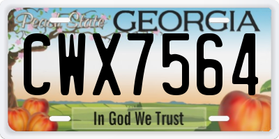 GA license plate CWX7564