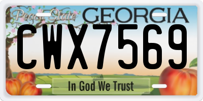 GA license plate CWX7569