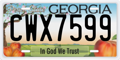 GA license plate CWX7599