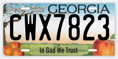 GA license plate CWX7823