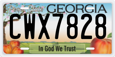 GA license plate CWX7828