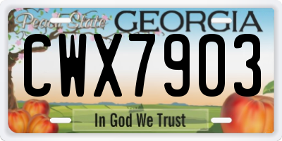 GA license plate CWX7903