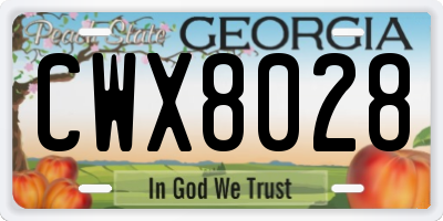 GA license plate CWX8028