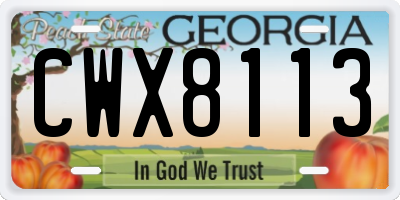 GA license plate CWX8113