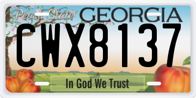 GA license plate CWX8137