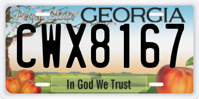GA license plate CWX8167