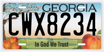 GA license plate CWX8234