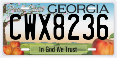 GA license plate CWX8236
