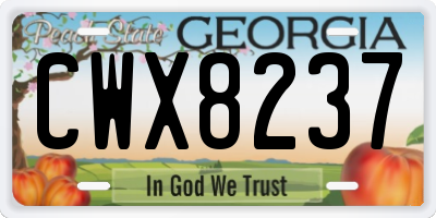 GA license plate CWX8237