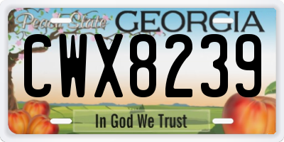 GA license plate CWX8239