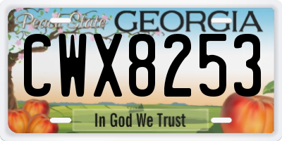 GA license plate CWX8253