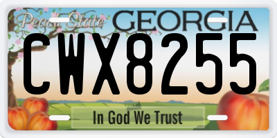 GA license plate CWX8255
