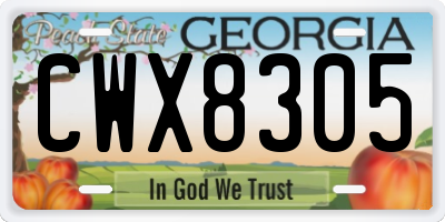 GA license plate CWX8305