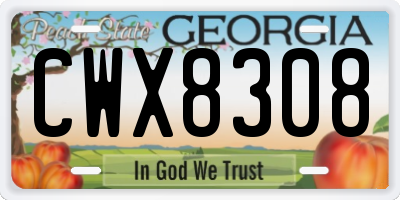 GA license plate CWX8308