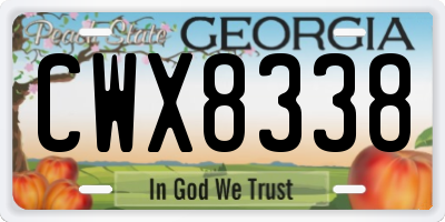 GA license plate CWX8338