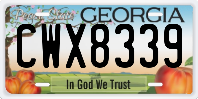 GA license plate CWX8339