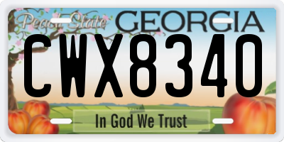 GA license plate CWX8340