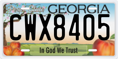 GA license plate CWX8405