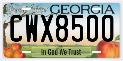 GA license plate CWX8500