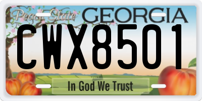GA license plate CWX8501