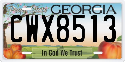 GA license plate CWX8513