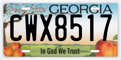 GA license plate CWX8517