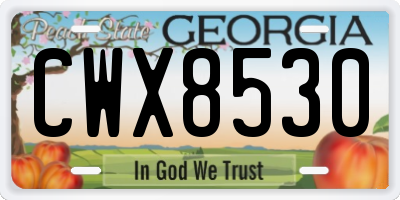 GA license plate CWX8530