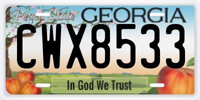 GA license plate CWX8533