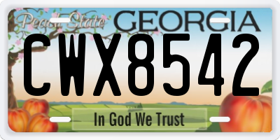 GA license plate CWX8542