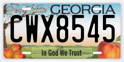 GA license plate CWX8545