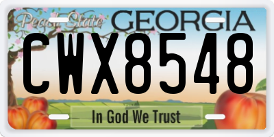 GA license plate CWX8548