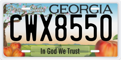 GA license plate CWX8550