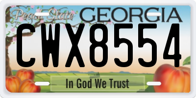 GA license plate CWX8554
