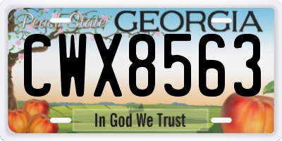 GA license plate CWX8563
