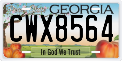 GA license plate CWX8564