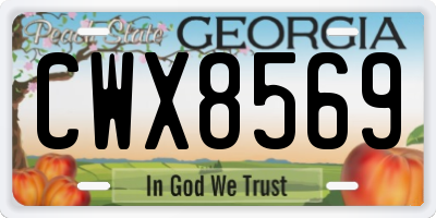 GA license plate CWX8569