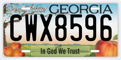 GA license plate CWX8596