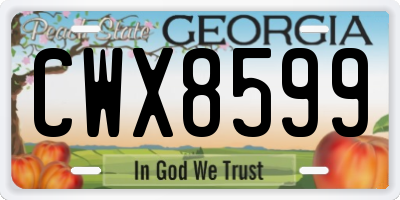 GA license plate CWX8599
