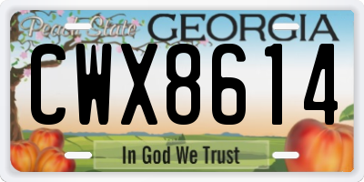GA license plate CWX8614