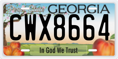 GA license plate CWX8664