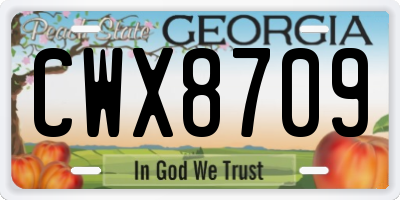 GA license plate CWX8709