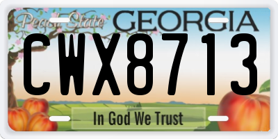 GA license plate CWX8713