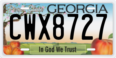 GA license plate CWX8727