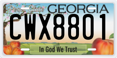 GA license plate CWX8801