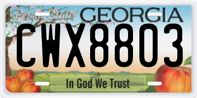 GA license plate CWX8803