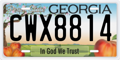 GA license plate CWX8814