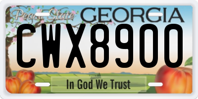 GA license plate CWX8900