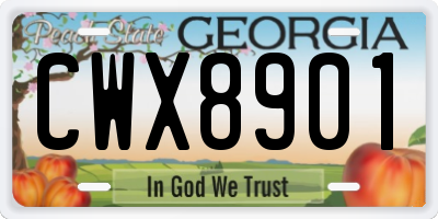 GA license plate CWX8901